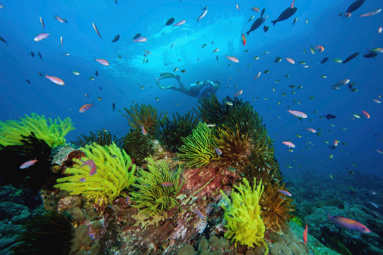 Kotabaru images sustainable